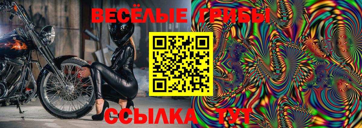 Галлюциногенные грибы Magic Shrooms  Вход с VPN  Псилоцибиновые грибы ЛСД  Назрань 